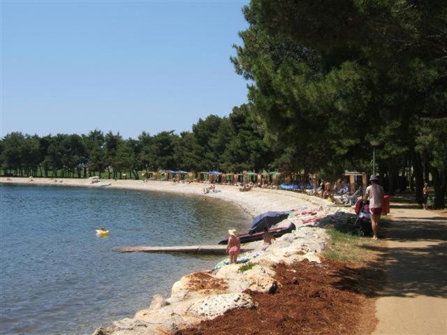 Apartman Oliver Novigrad Istria Exterior foto
